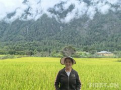 【服膺嘱托 共建斑斓新】西巴村：连合守边兴边